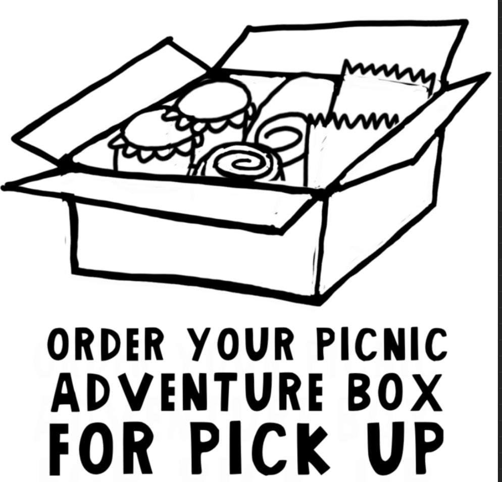 Picnic Adventure Box