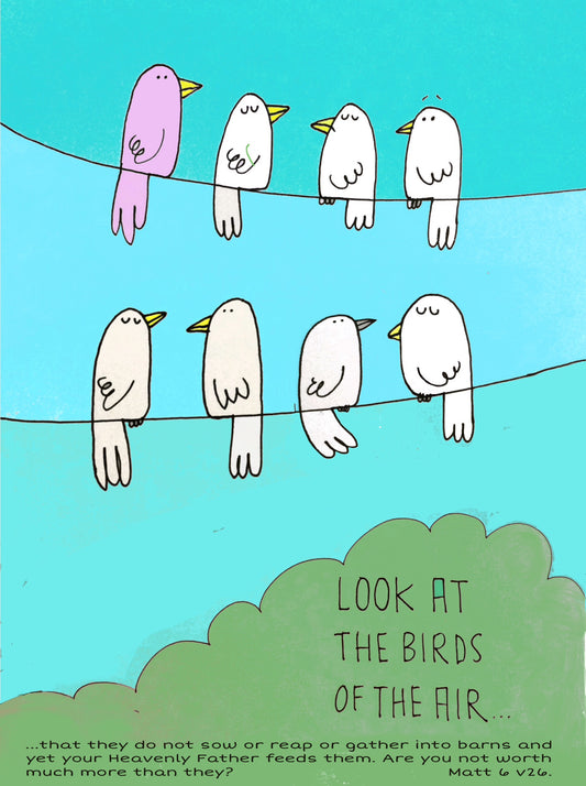 Look At The Birds